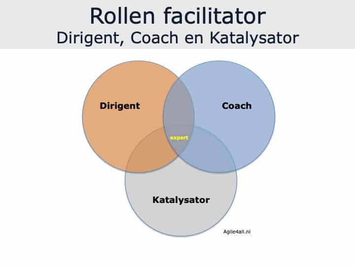 Rollen facilitator: Dirigent, Coach en Katalysator