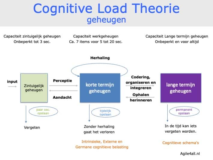 Cognitive Load theorie - geheugen